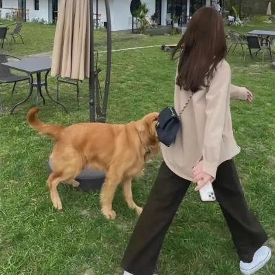 魔鬼游乐场